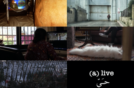 كورونا وفلسطين وسينما اليوميات البسيطة... توثيقٌ وبوحٌ