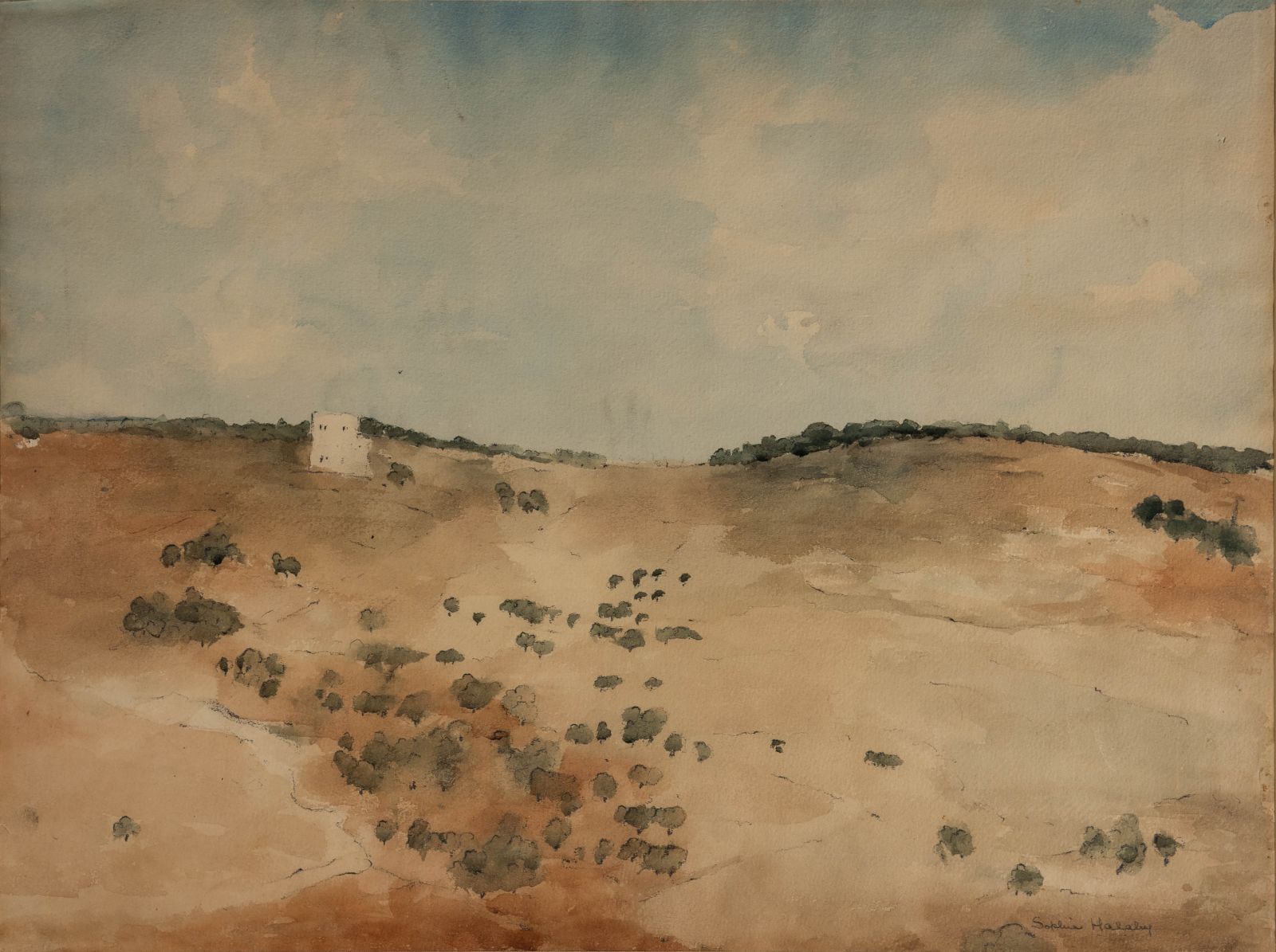 جبل الزيتون، صوفي حلبي، 1954، المتحف الفلسطيني