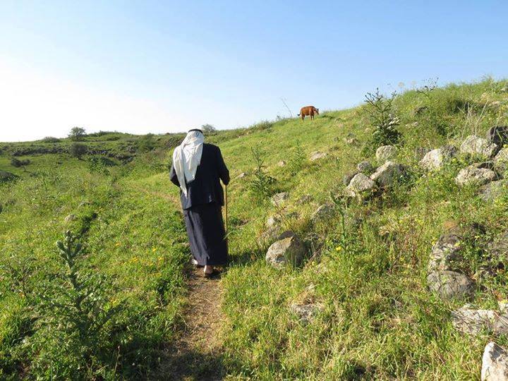 في اراضي القرية